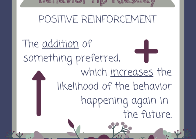 Conduct Tip Tuesday: Optimistic Reinforcement – BIAS